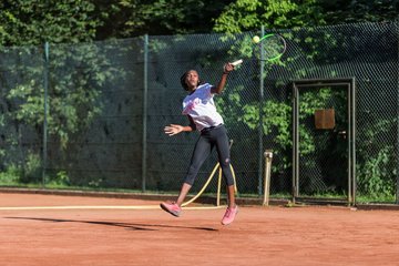 Noma Noha Akugue 299 - Amato Caffe Open